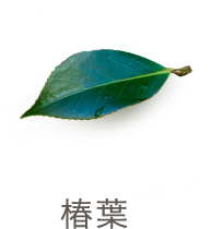 椿葉