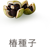 椿種子